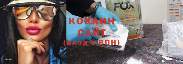 спиды Кадников