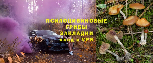 прущий лед Вязьма