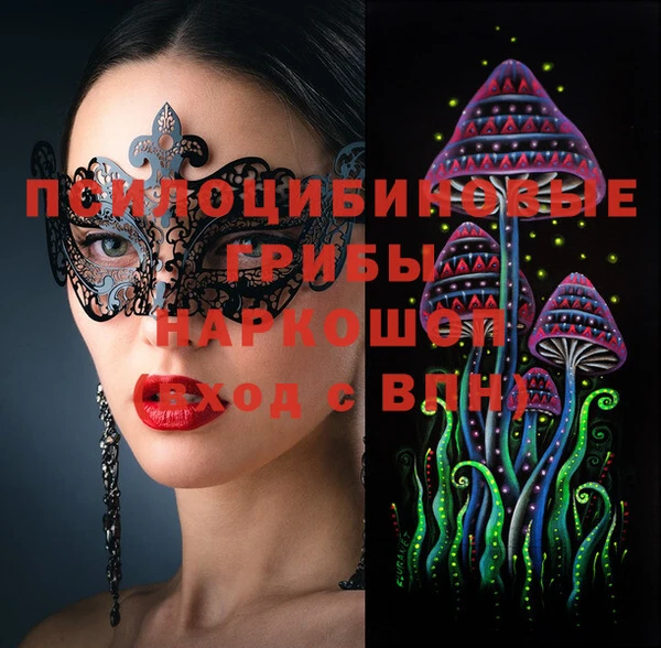 прущий лед Вязьма