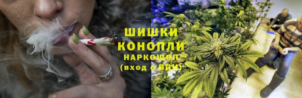 крисы Вяземский
