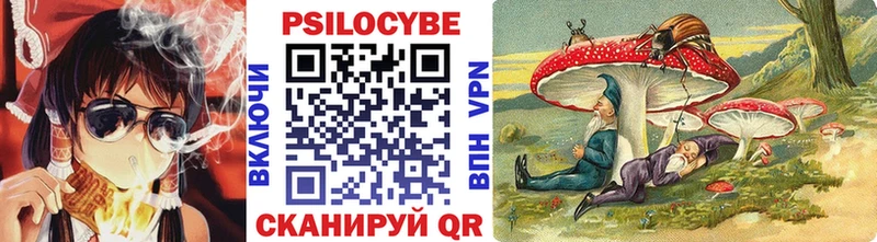 купить наркотики сайты Мончегорск Галлюциногенные грибы Psilocybine cubensis