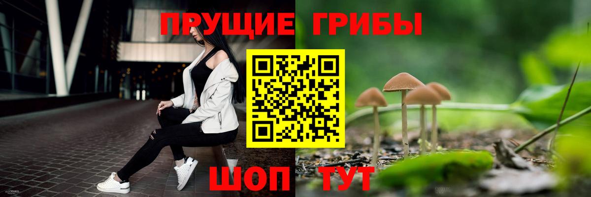 Псилоцибиновые грибы GOLDEN TEACHER  Псилоцибиновые грибы мицелий  Мончегорск  Вход с VPN 
