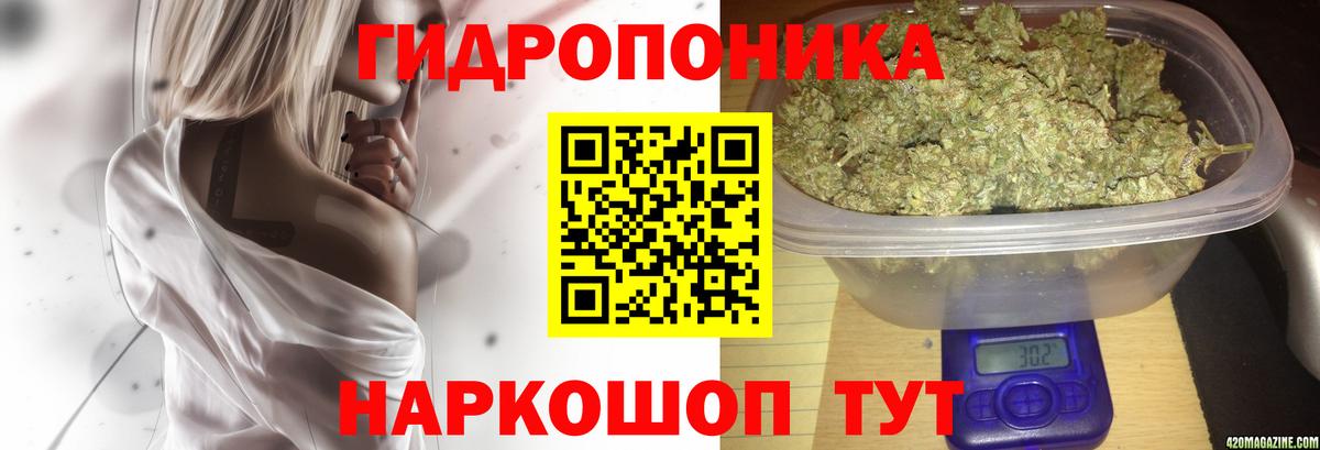 МАРИХУАНА Bruce Banner Мончегорск